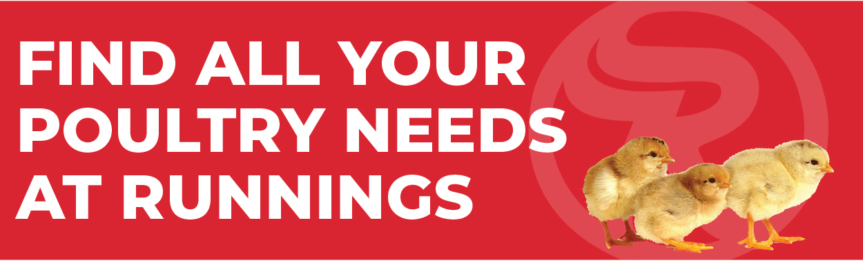 Find all your Poultry Needs at Runnings