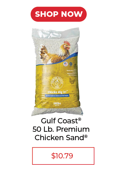 Premium Chicken Sand® - SALE $10.79