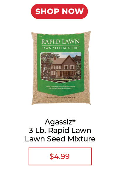 Rapid Lawn Seed Mixture, 3 lbs. - SALE $4.99