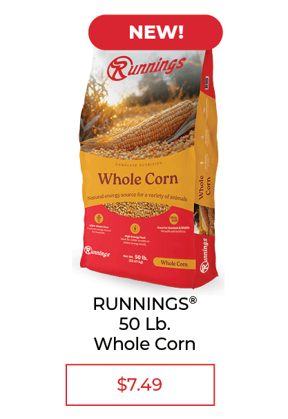 Runnings 50 LB. Whole Corn - SALE $7.49
