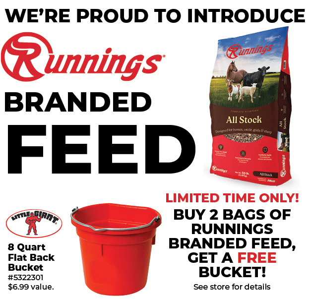 Buy 2 Bags of Runnings Branded Feed, Get a Free Bucket