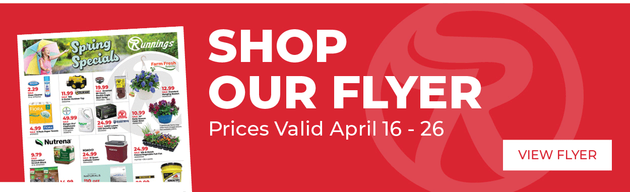 Shop our Current Flyer through April 26