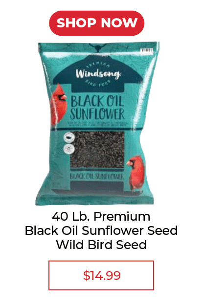 40 LB. Premium Black Oil Sunflower Seed Wild Bird Seed - SALE $14.99