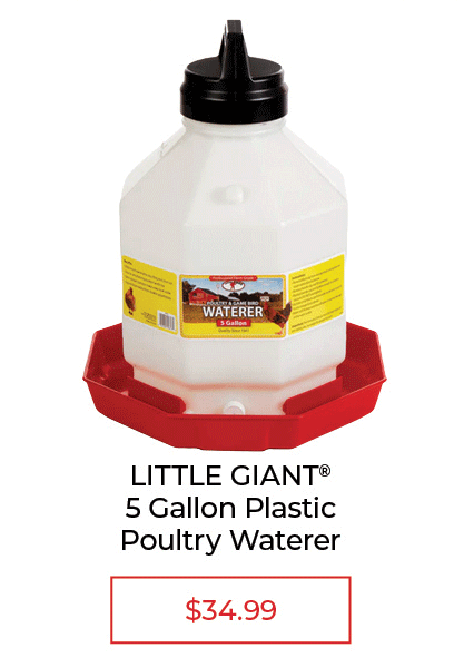 LITTLE GIANT 5 Gallon Plastic Poultry Waterer - SALE $34.99