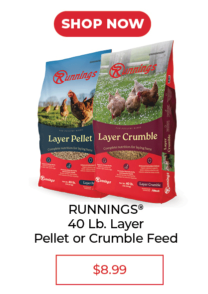 Runnings Poultry Feed - SALE $8.99