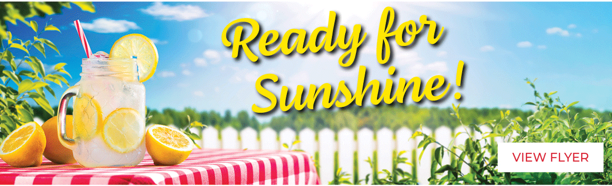Ready for Sunshine - View Flyer