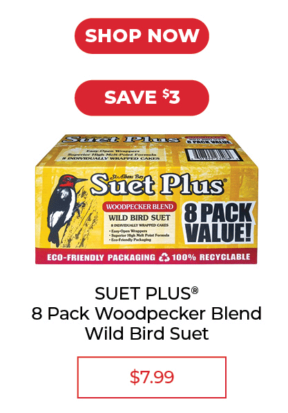 Suet Plus® Woodpecker Blend Wild Bird Suet - SALE $7.99