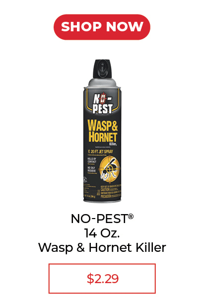 No Pest Wasp & Hornet Killer - SALE $2.29
