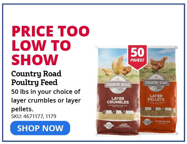  "Country