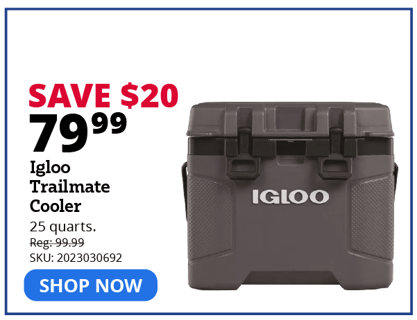  "igloo