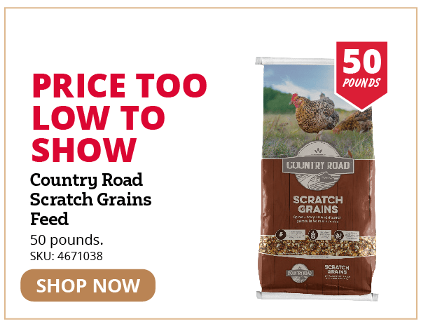 Scratch Grains
