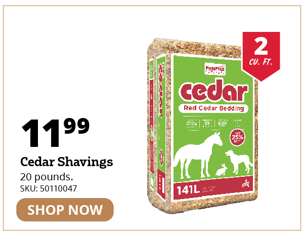 Cedar Shavings
