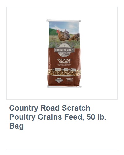 View product recommended for you