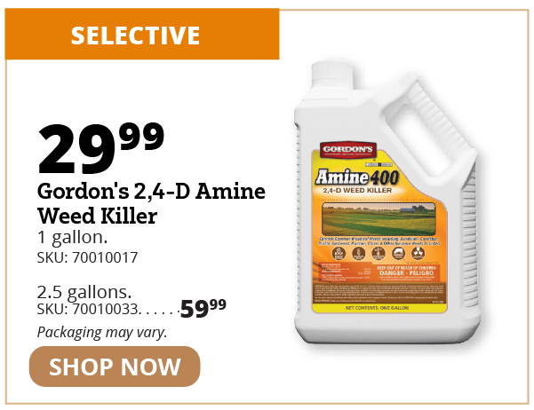 Gordon's 2,4-D Amine Weed Killer