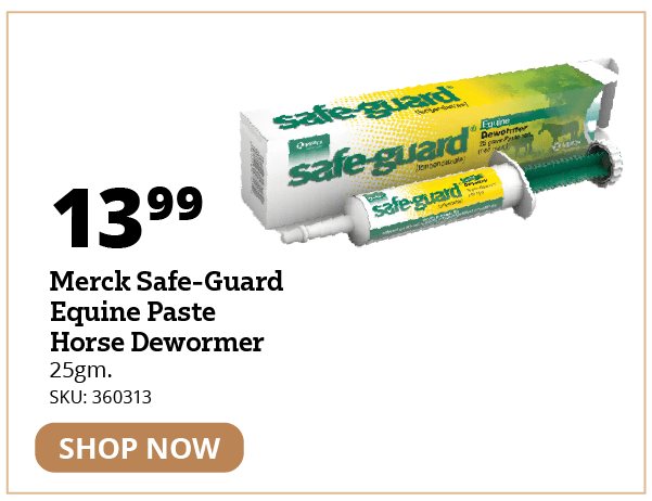 Merck Safe-Guard Equine Paste Horse Dewormer