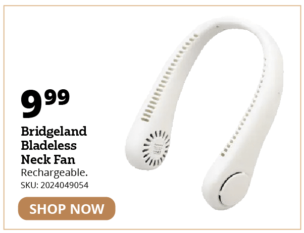 Bridgeland Bladeles Neck Fan