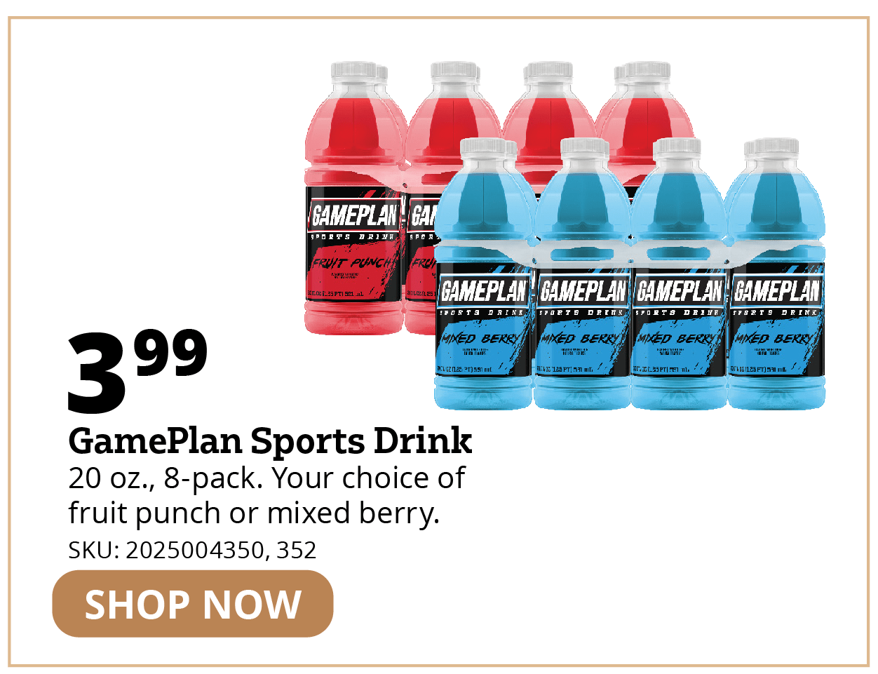 Gameplan Sports drink