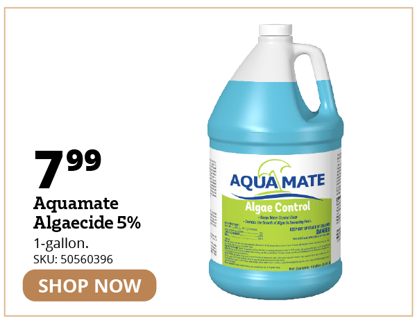 Aquamate Algaecide 5%