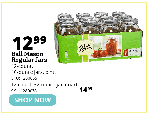 Ball Mason Jars Regular Mouth
