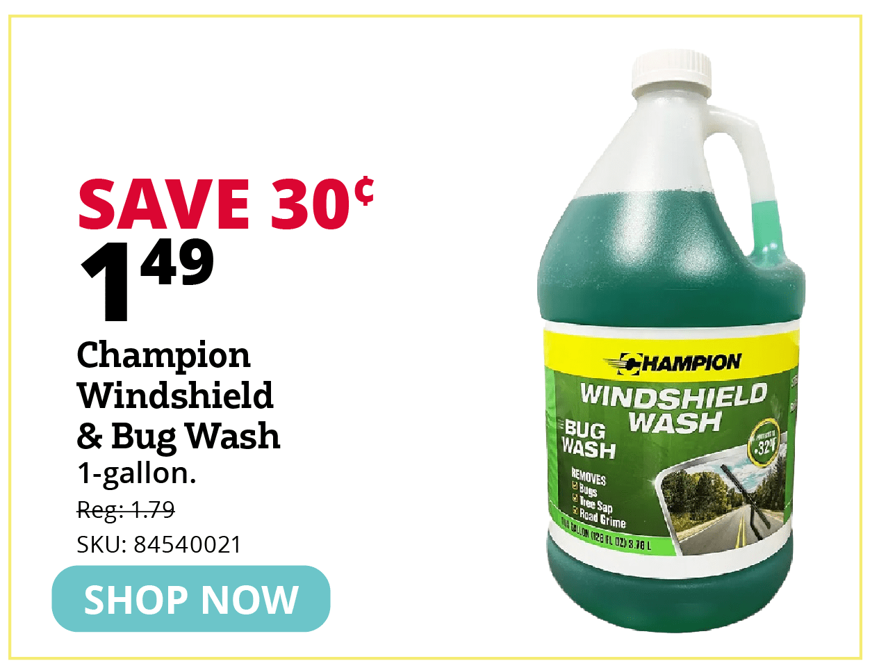Champion Windshield & Bug Wash