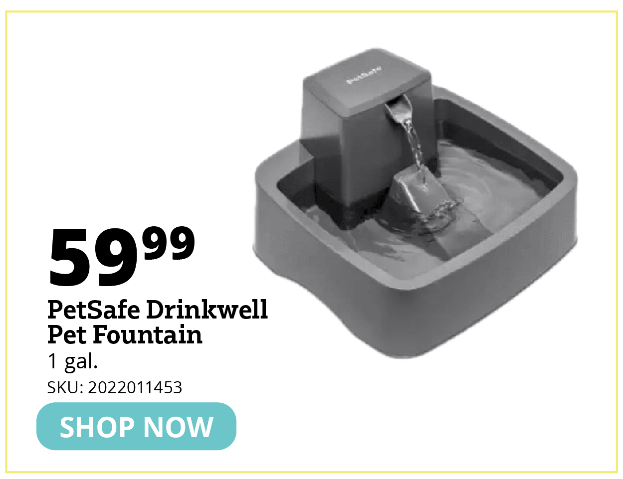 PetSafe Drinkwell
