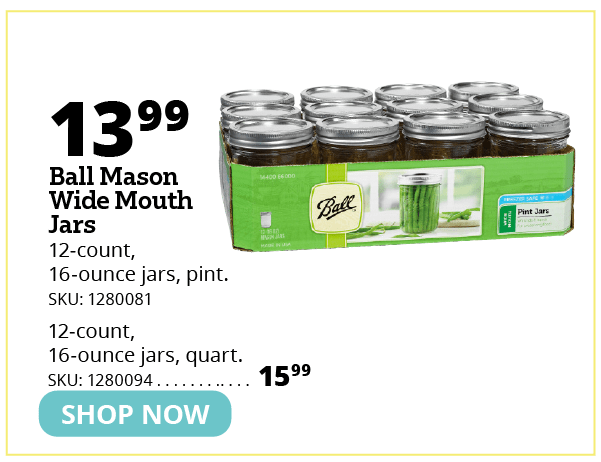 Ball Mason Jars