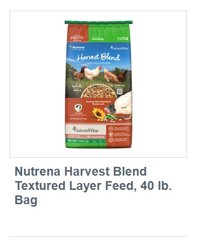 View product recommended for you