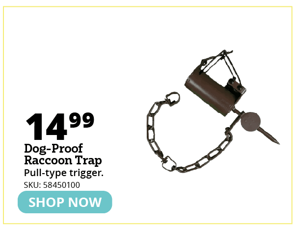 Dog-Proof Coon Trap