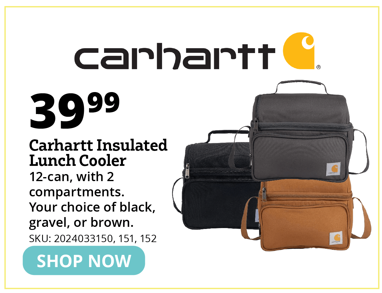 Carhartt Insulated Lunch Cooler