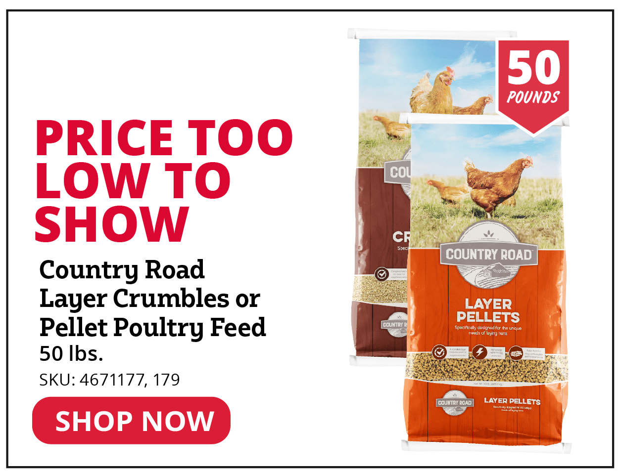 Country Road Layer Crumble or Pellet Poultry