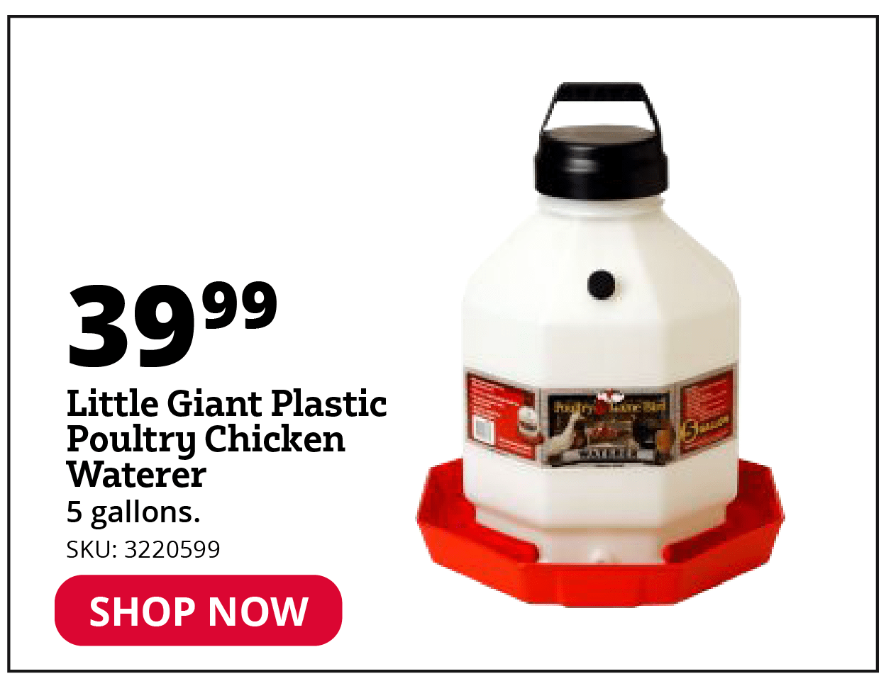 Little Giant Plastic Poultry Chicken Waterer