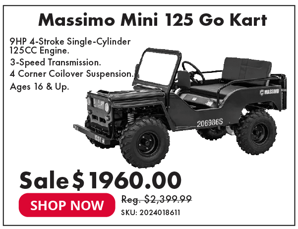 Massimo Mini 125 Go Kart