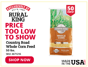 Country Road Whole Corn Feed