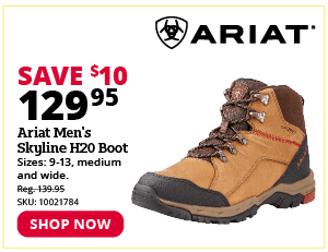 Ariat Men's Skyline H20 Boot