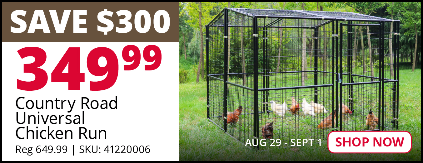 Country Road Universal Chicken Run