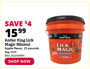 Antler King Lick Magic