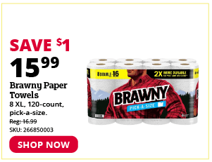 Brawny Paper Towels