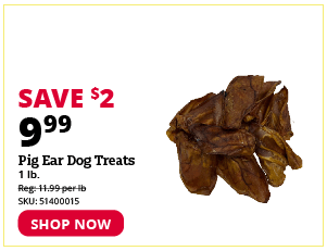 Pig Ears Dog Treats