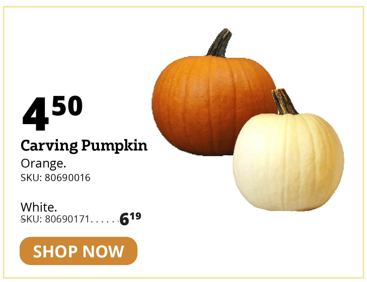 Carving Pumpkin