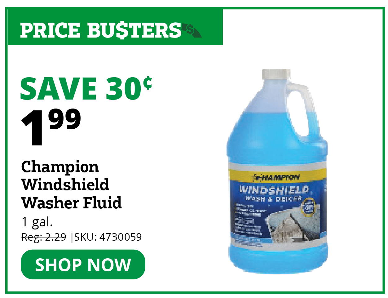 Champion -20° F Windshield Washer & Deicer Fluid
