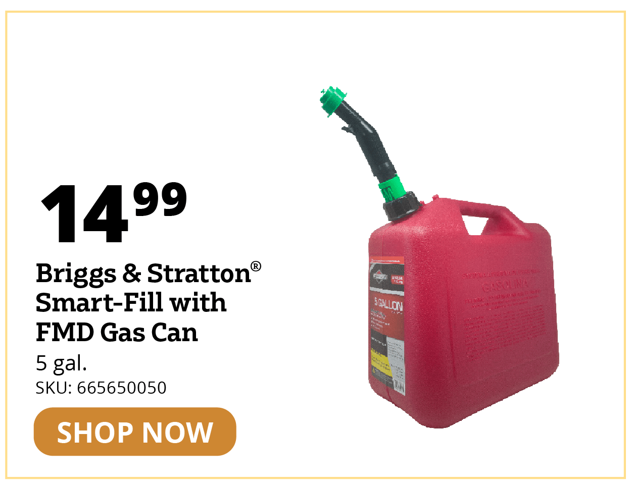 Briggs Stratton® Smart-Fill with FMD Gas Can