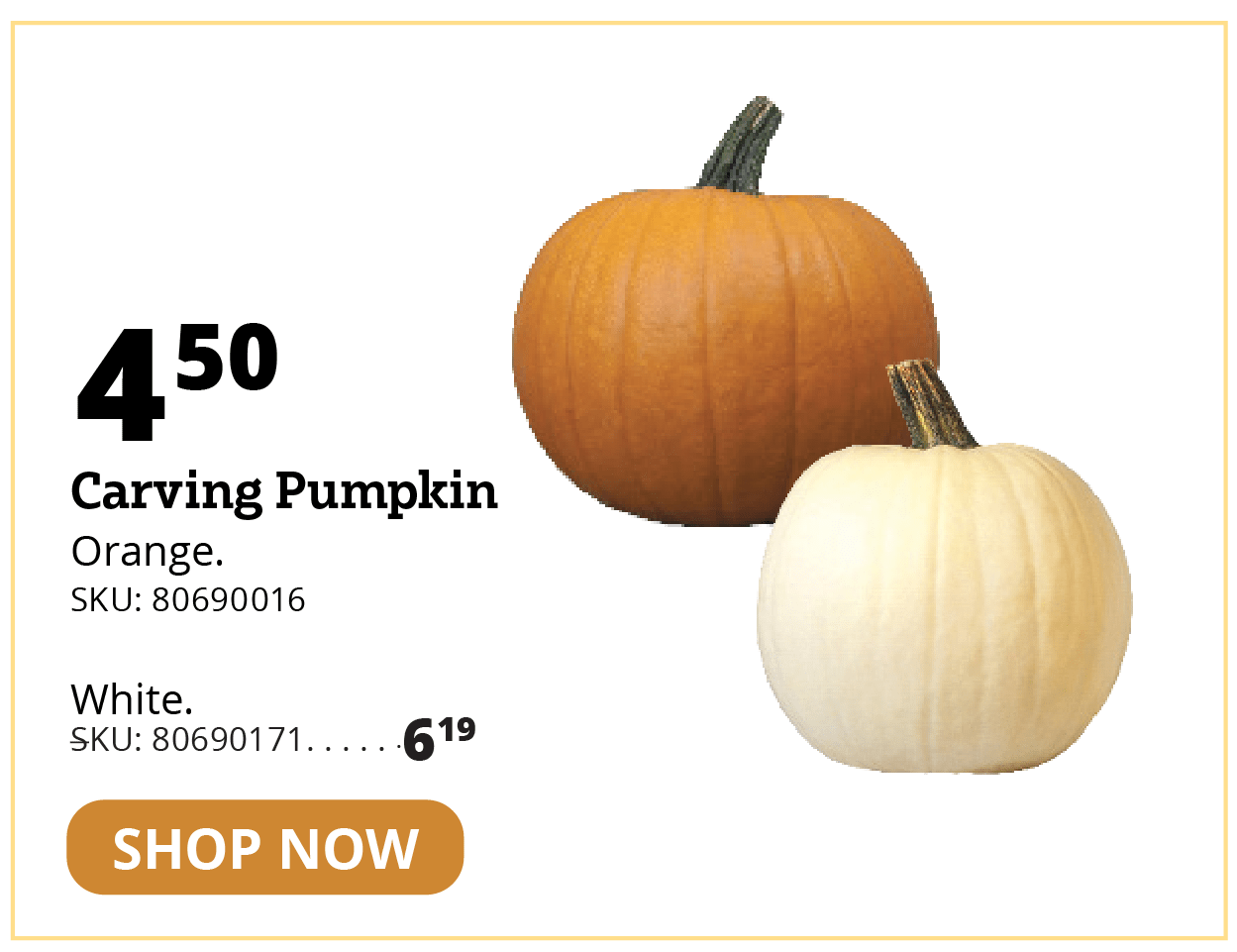 Carving Pumpkin