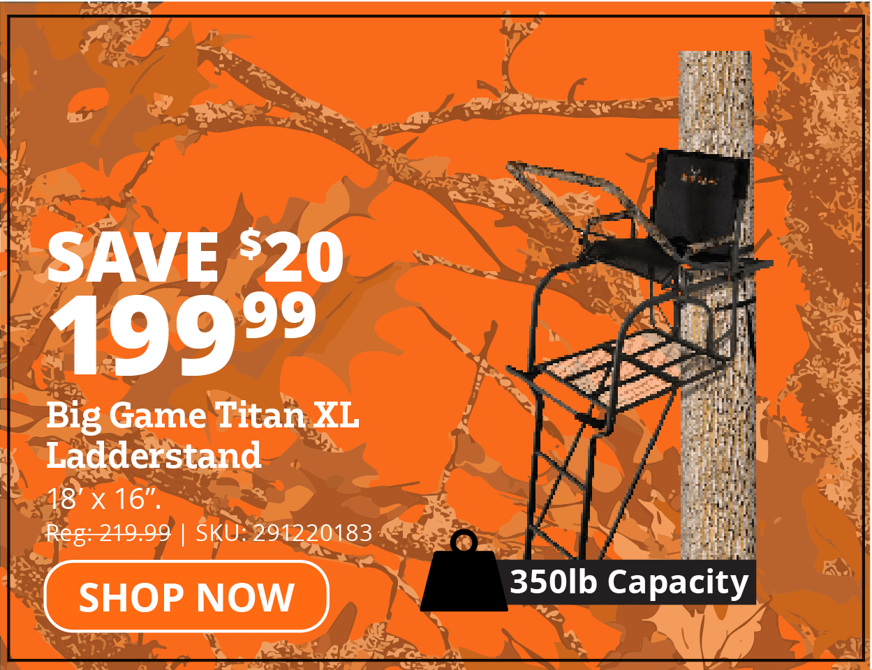 Big Game Titan XL Ladderstand