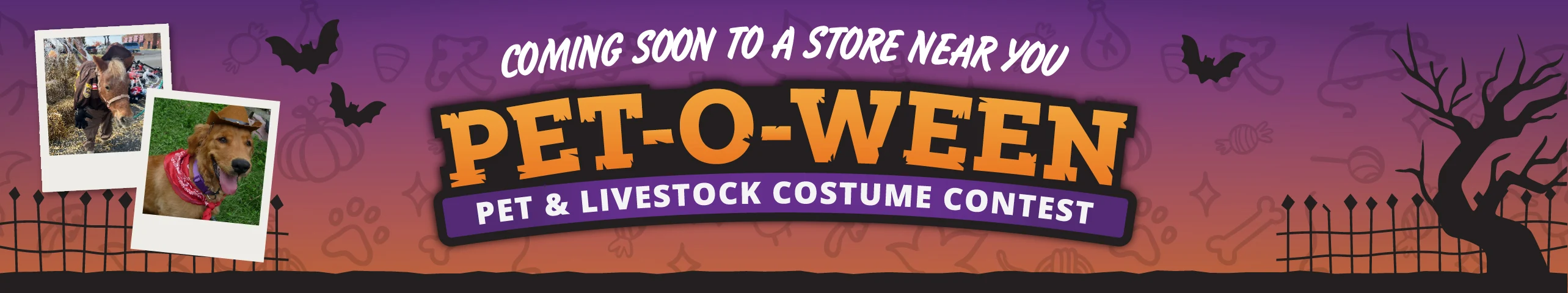 Pet-O-Ween Coming Soon!