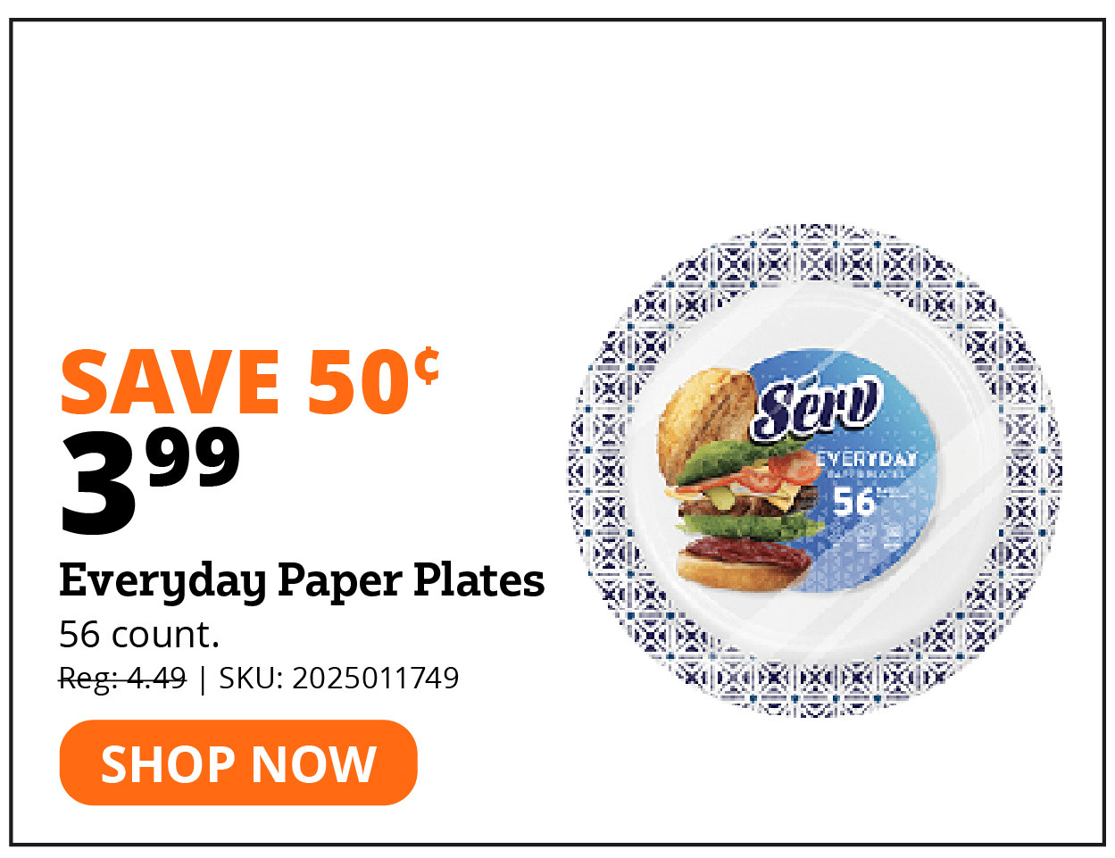 Everyday Paper Plates