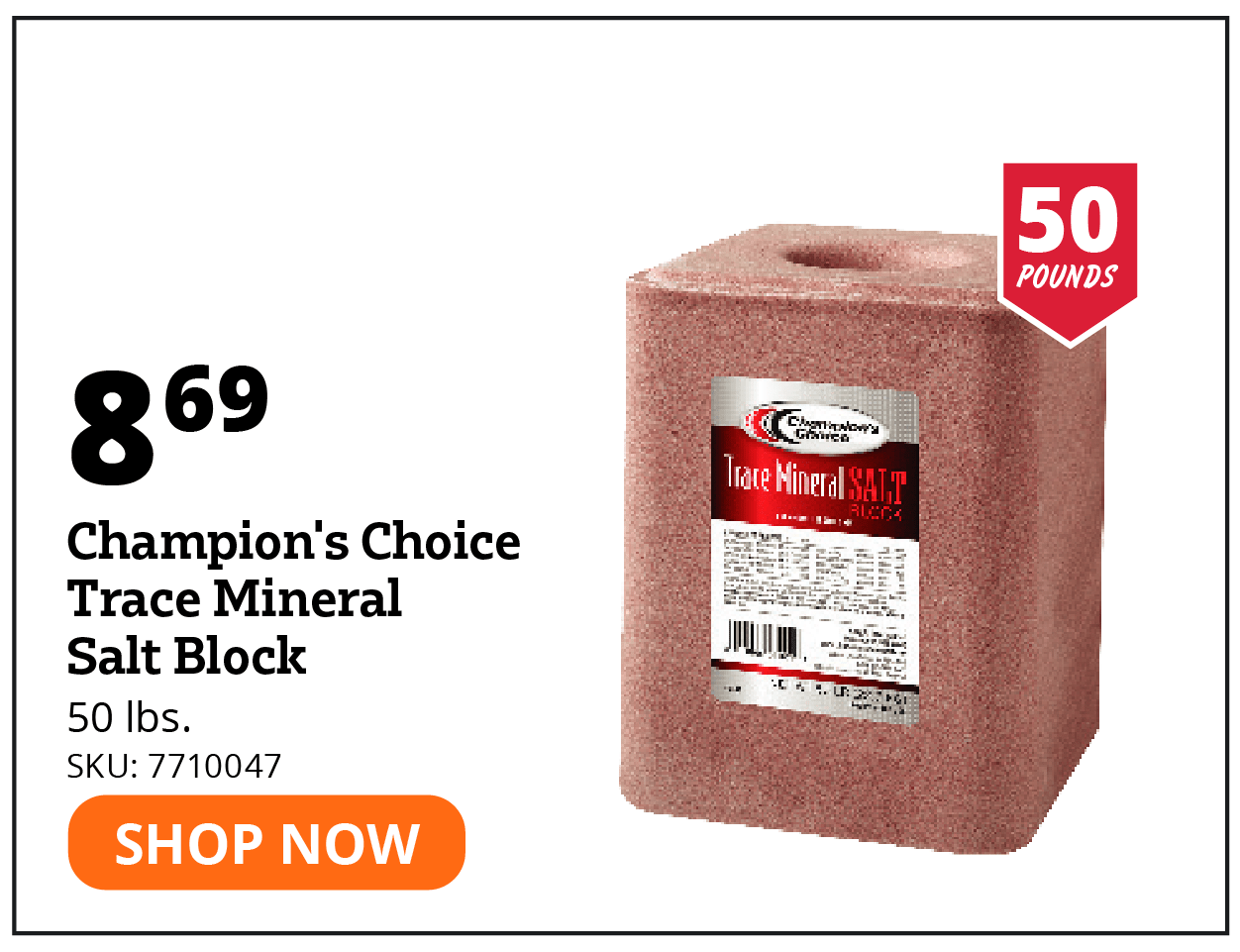 Champion's Choice Trace Mineral Salt Block