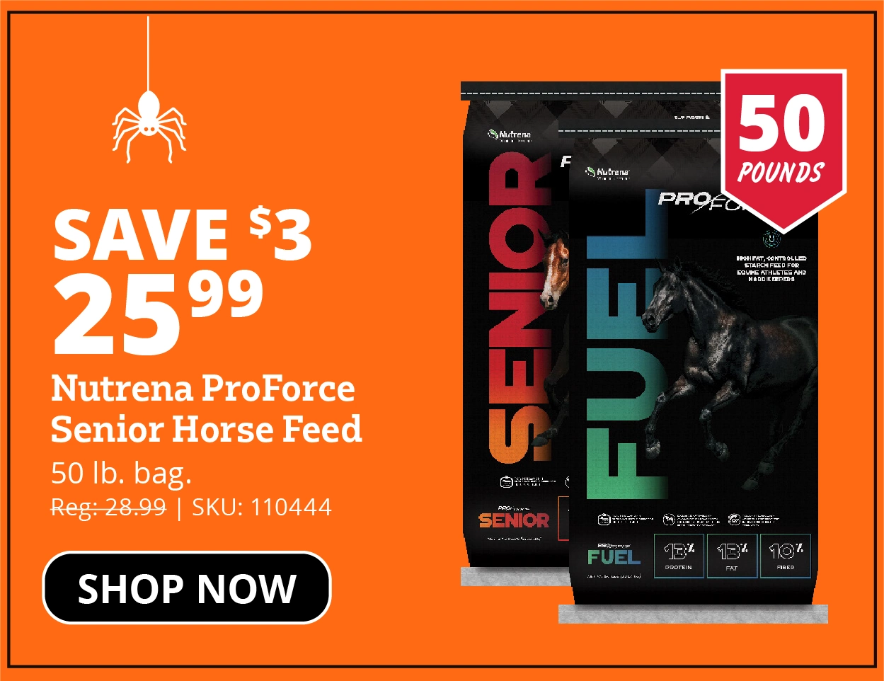 Nutrena ProForce Senior or Fuel Horse Feed