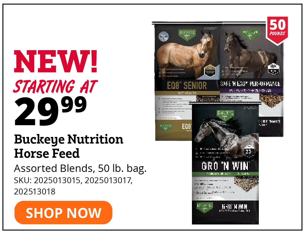 Buckeye Nutrition Horse Feed
