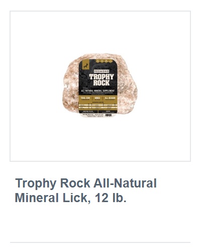View product recommended for you