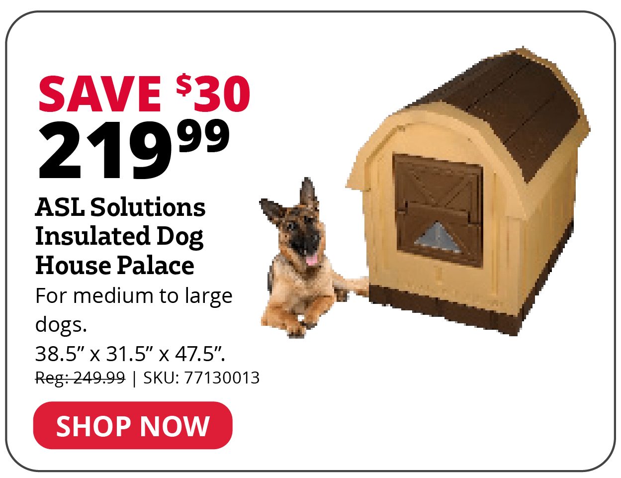 ASL Solutions Insulated Dog House Palace